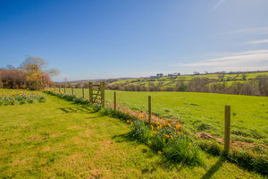 Photo 34- click for photo gallery